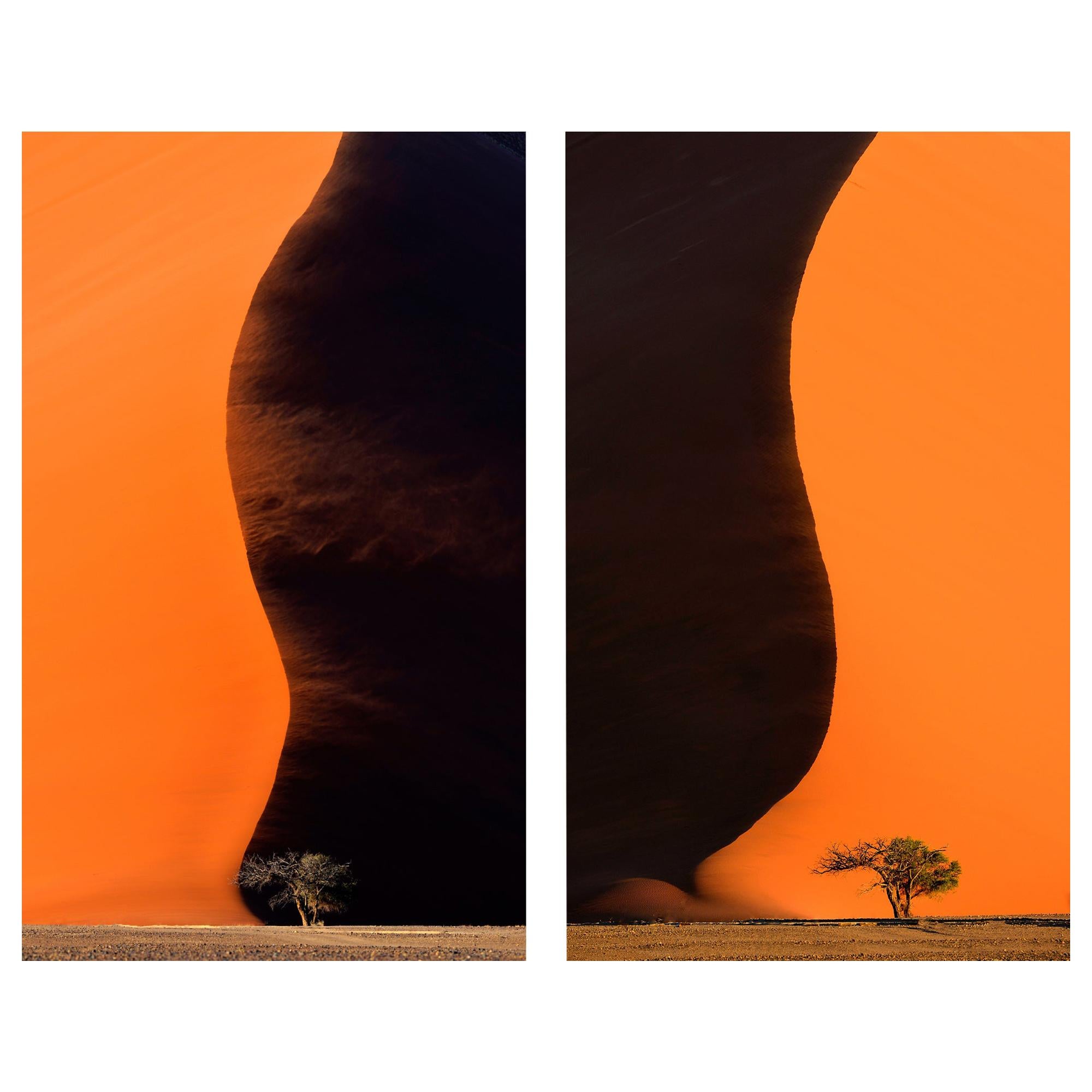 Dunes du Namib:: paysage:: photographie en couleur:: 2 reproductions d'art par Rainer Martini