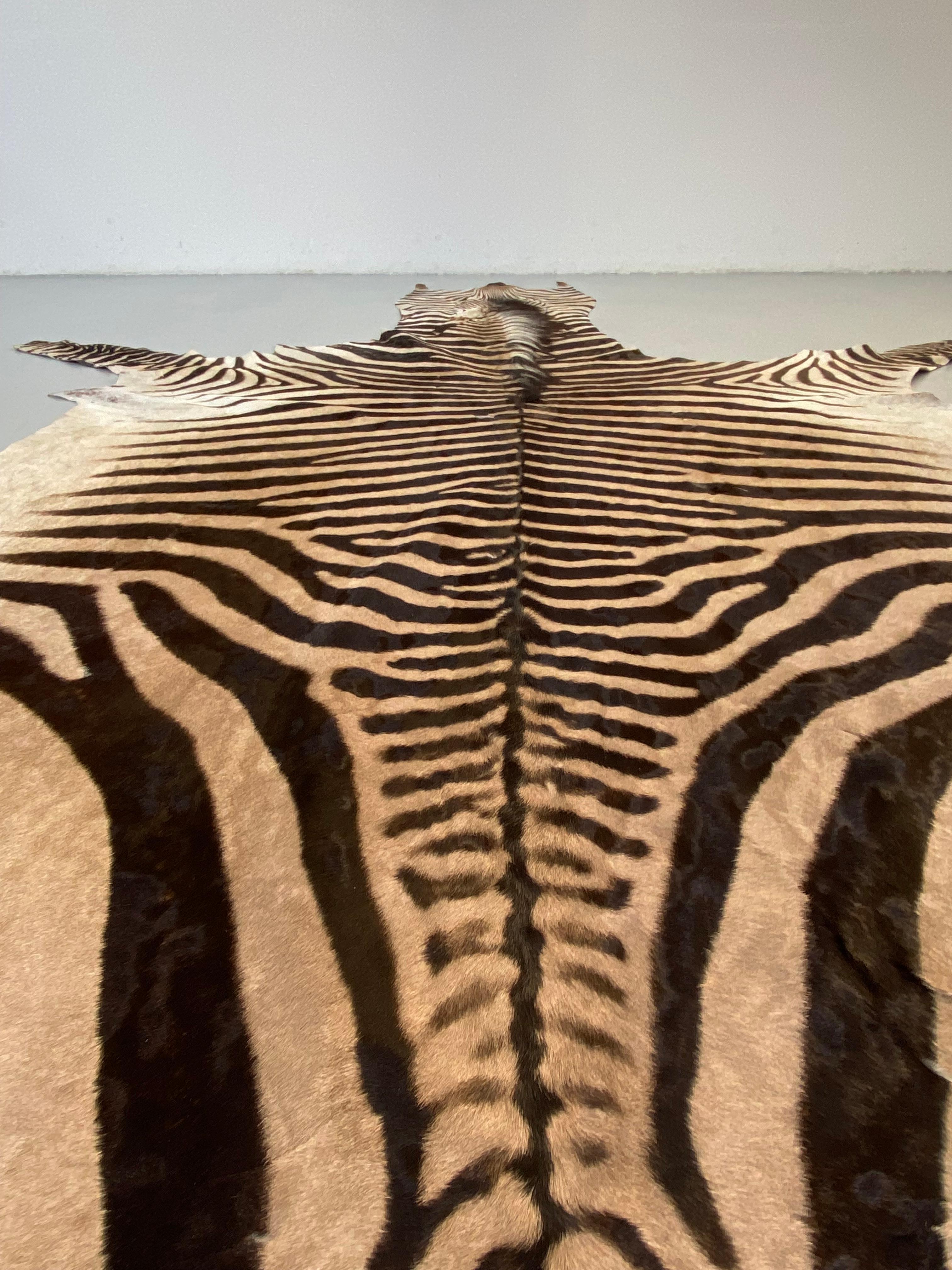 Contemporary Namibian Certficated Hartmann's Mountain Zebra Rug, Grade B, 2022.  