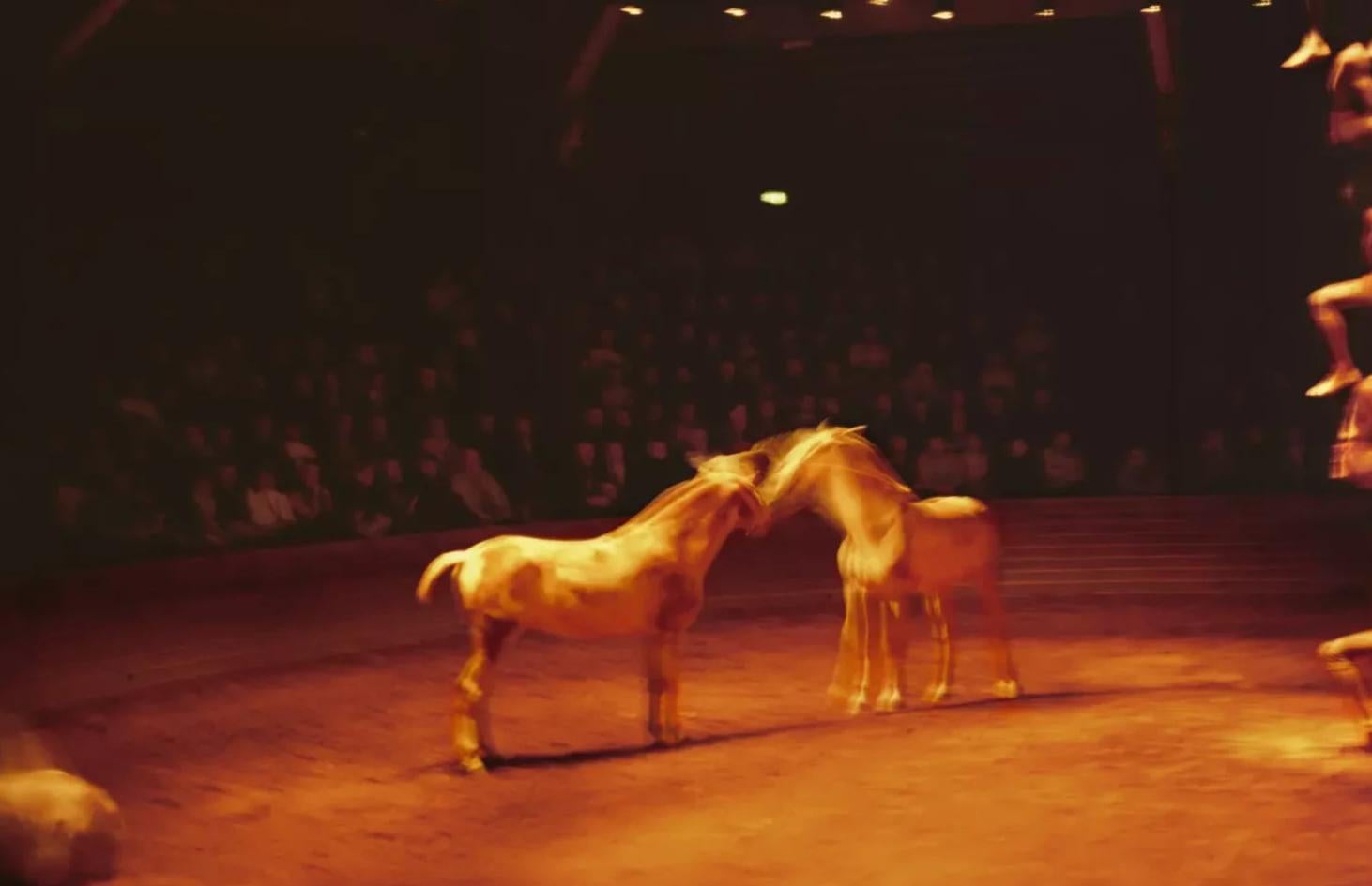 Triptyk, Théâtre équestre Zingaro, Paris, 2004 - Contemporain Photograph par Nan Goldin
