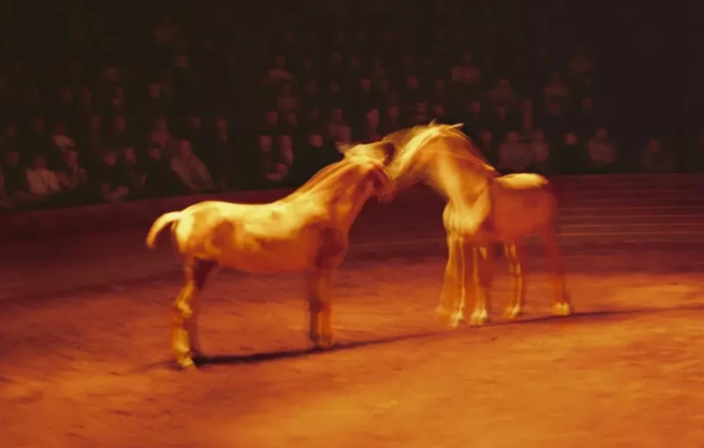 Triptyk, Théâtre équestre Zingaro, Paris, 2004 - Noir Color Photograph par Nan Goldin