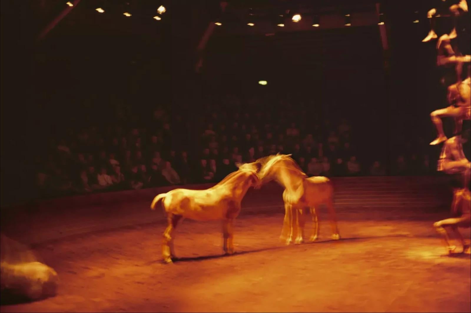 Color Photograph Nan Goldin - Triptyk, Théâtre équestre Zingaro, Paris, 2004