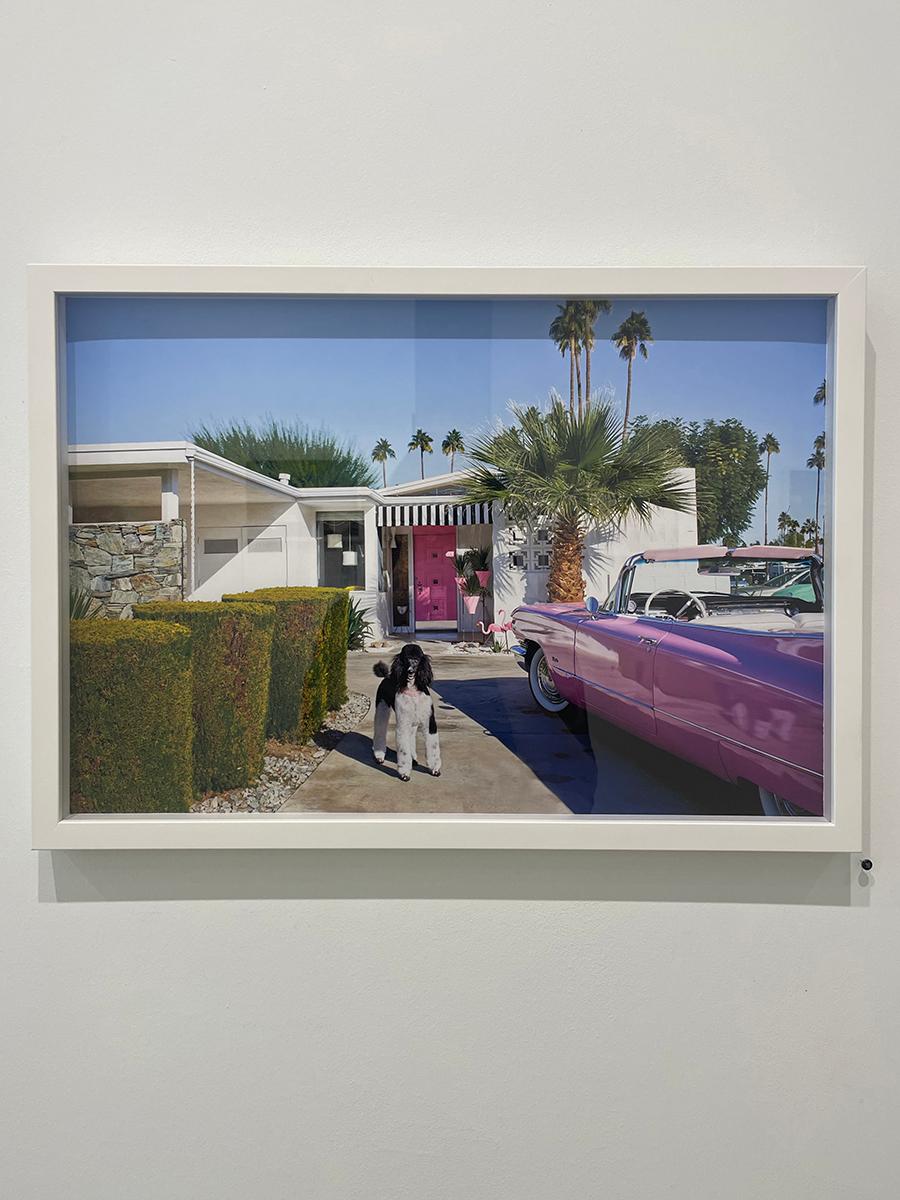Charlie de Nancy Baron, 2018, Impresión de pigmento de archivo, Fotografía en color en venta 1