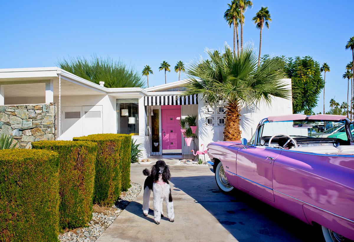 Charlie by Nancy Baron is a 15 x 22 inch archival pigment print, and is available in an edition of 10. This photograph features a black and white poodle standing in front of a mid century modern home in Palm Springs, with a matching pink door, car,