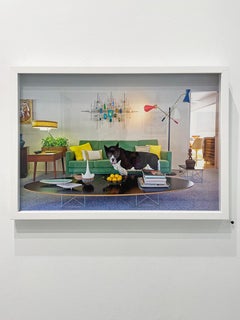 Rocky di Nancy Baron, 2018, Stampa a pigmenti d'archivio, Fotografia a colori