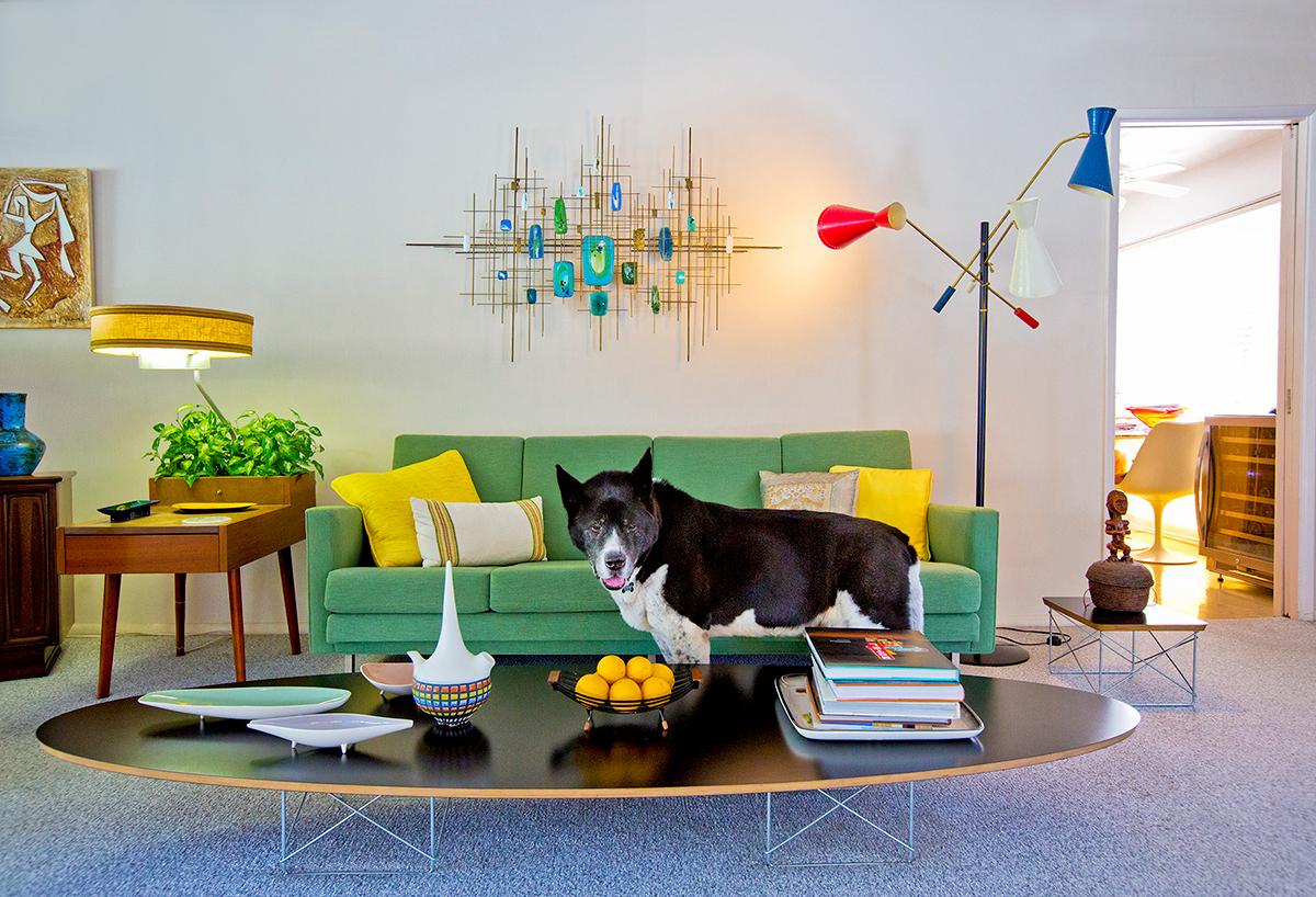 "Rocky" is a 15 x 22 inch archival pigment print by photographer Nancy Baron, and is available in an edition of 10. This photograph features an Akita dog standing in front of a green couch with surrounding colorful mid century modern decor. This