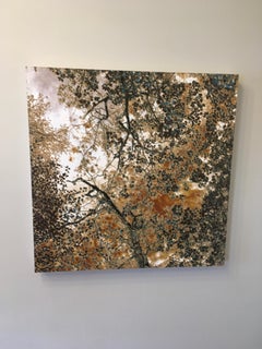 Alberts Square, Limited Edition Photograph, Aluminum, Trees, Mother Nature