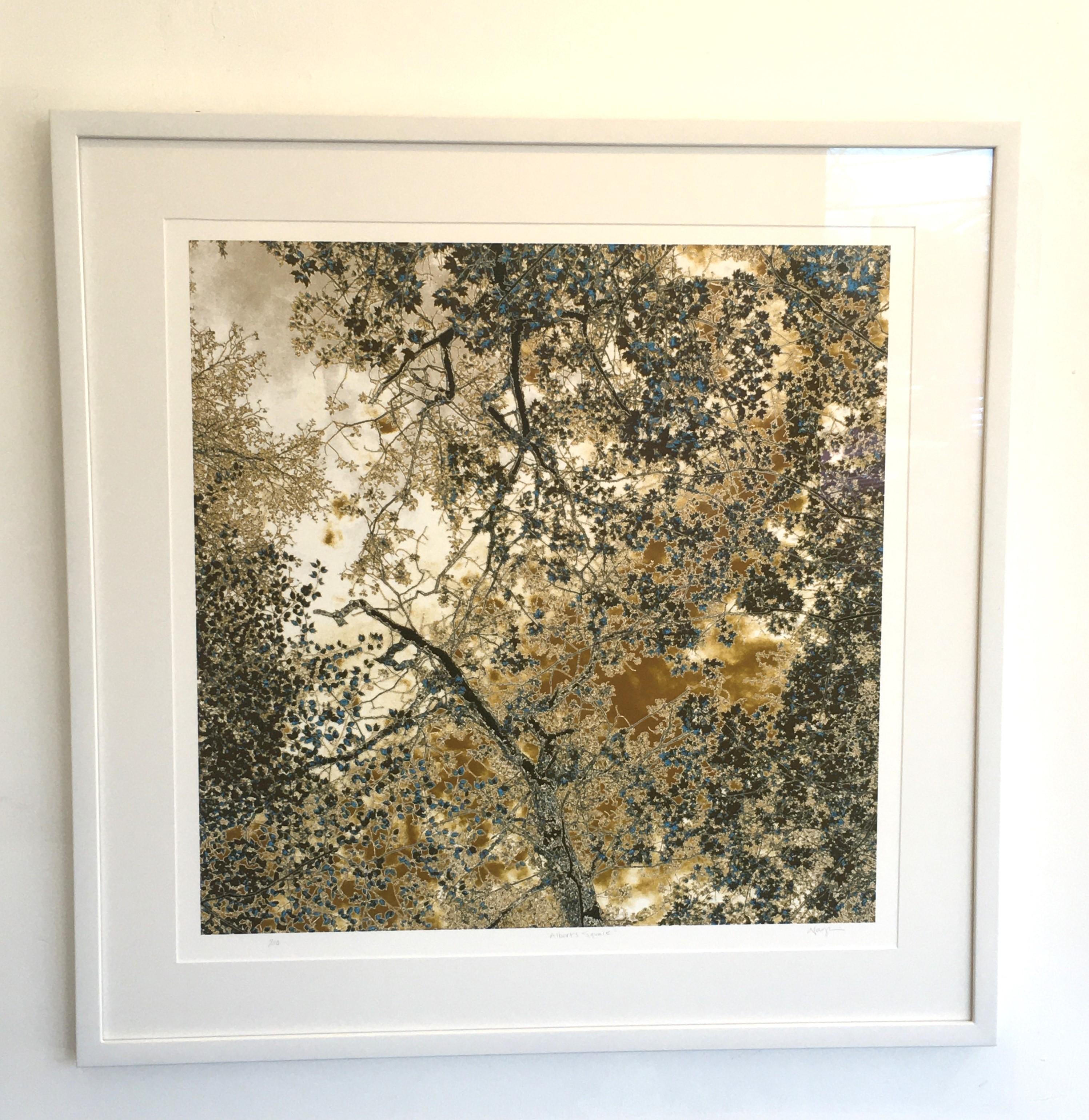 Albert's Square is a limited edition photograph by Nancy C. Woodward.  The is an archival print, 24x24, framed to 33x33.  It is signed and numbered.  It is filled with Gold, White and Brown colors.   It is $1,600.  This is an edition of 30.  It was