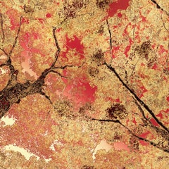 Gallagher's Red, Limited Edition Photograph, Aluminum, Trees, Mother Nature