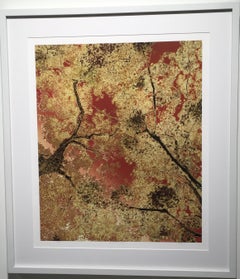 Gallagher's Red, Limited Edition Photograph, Print, Framed, Trees, Mother Nature