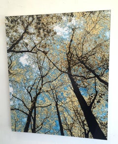 Gathering, photographie en édition limitée, support en plexiglas, arbres, bleu, vert