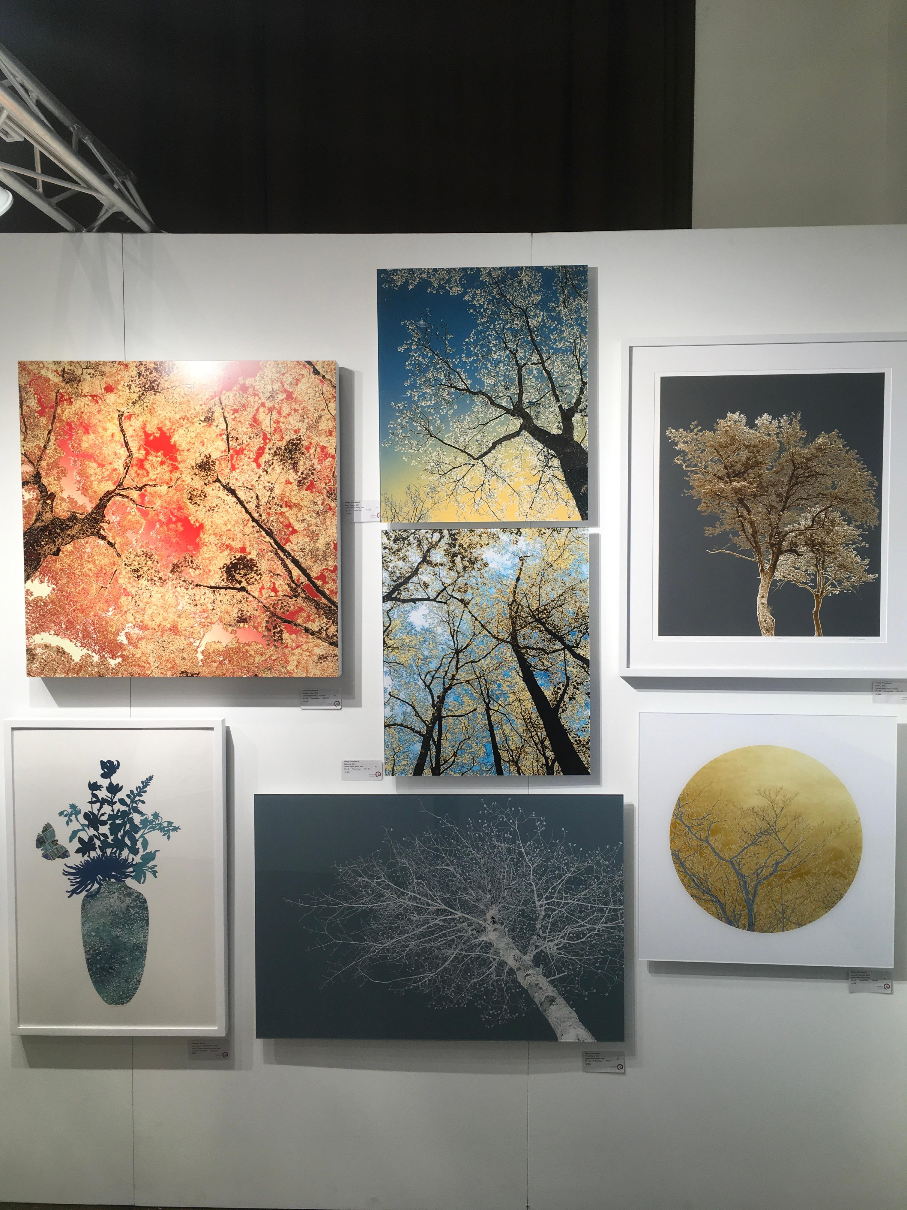 Kates Dream, Fotografia in edizione limitata, Plexifacemount, Alberi, Blu, Verde - Color Photograph Grigio di Nancy C. Woodward