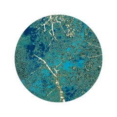 Lucy Blue, Fotografía de edición limitada, Árboles, Azul, Enmarcada, Fotografía en color