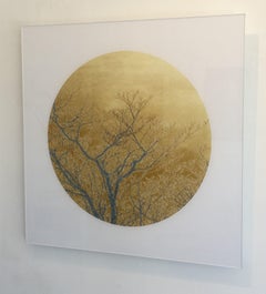 Recordando el oro, Fotografía de edición limitada, Plexifacemount, Árboles, Oro, Marco
