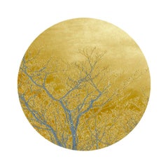 Remembering Gold, Limited Edition Photograph, Plexifacemount, Trees, Gold, Frame