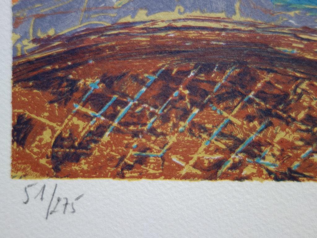 Little Girl's Dream - Original Handsigned Lithograph For Sale 1