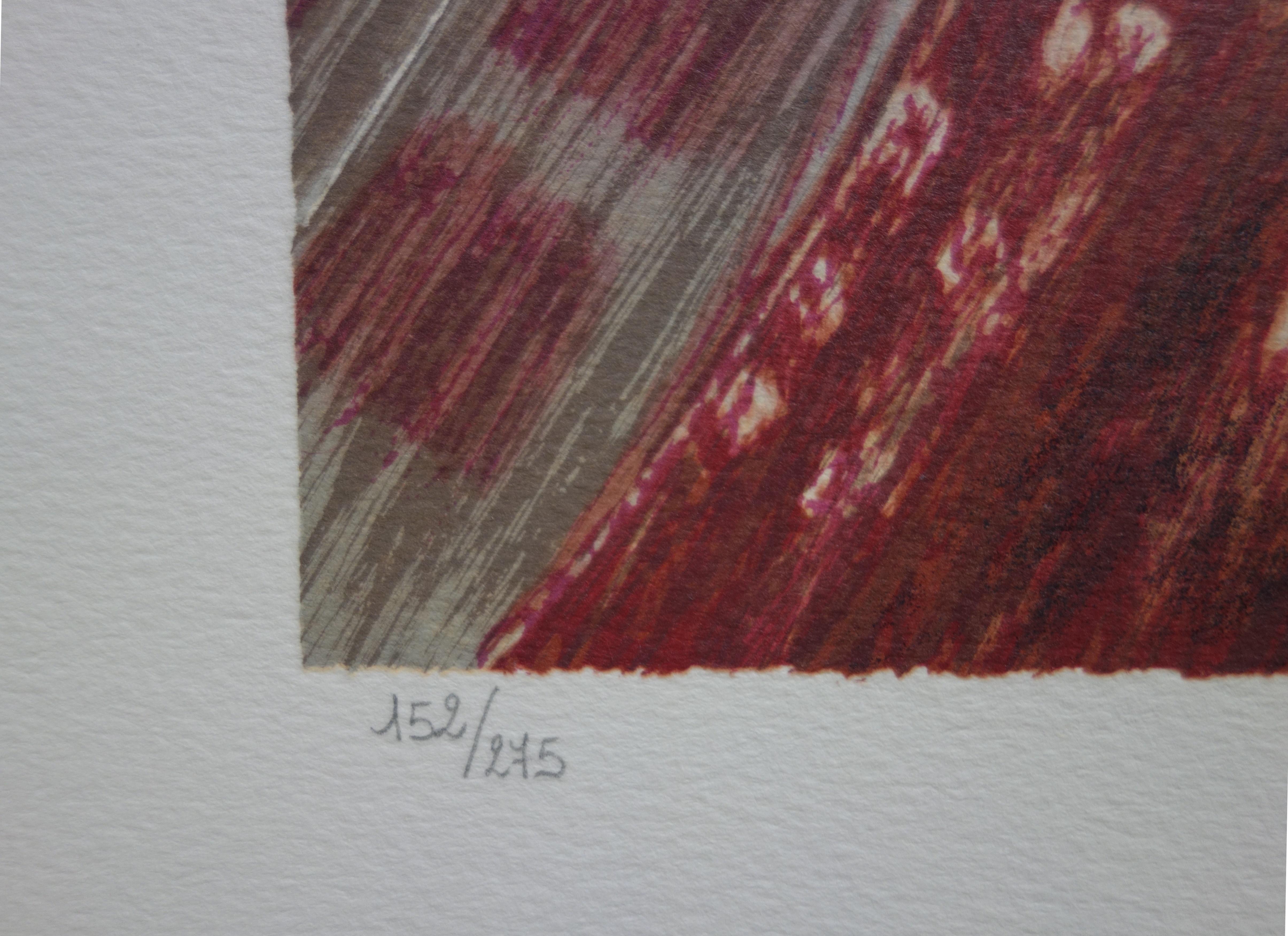 Femme nue - Lithographie originale signée de sa main en vente 1