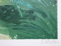 The Provençal Garden in Spring - Original Handsigned Lithograph
