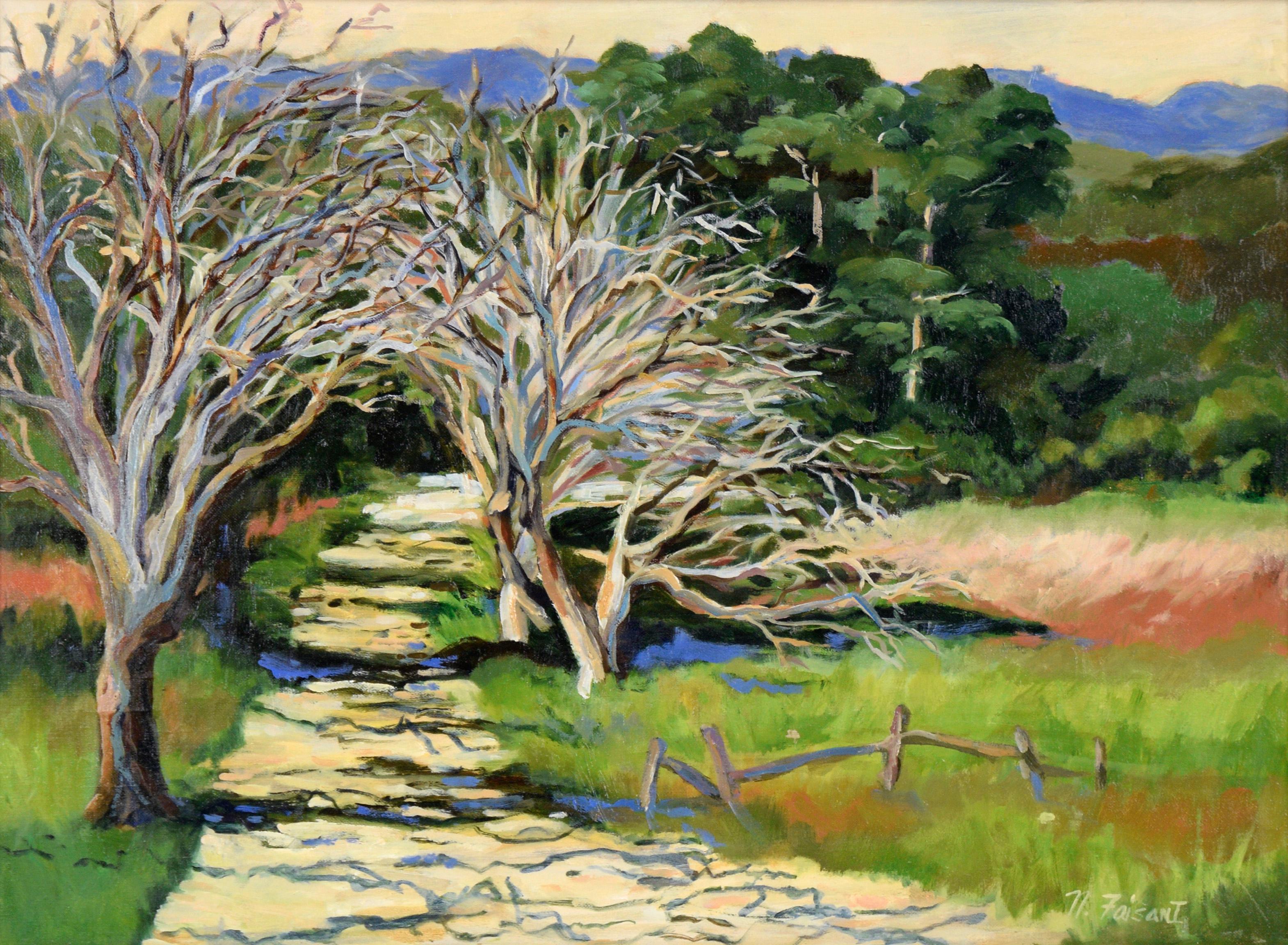 Sentiero ombreggiato sulle colline della California - Olio originale su tela (steso su tavola) - Painting di Nancy Faisant
