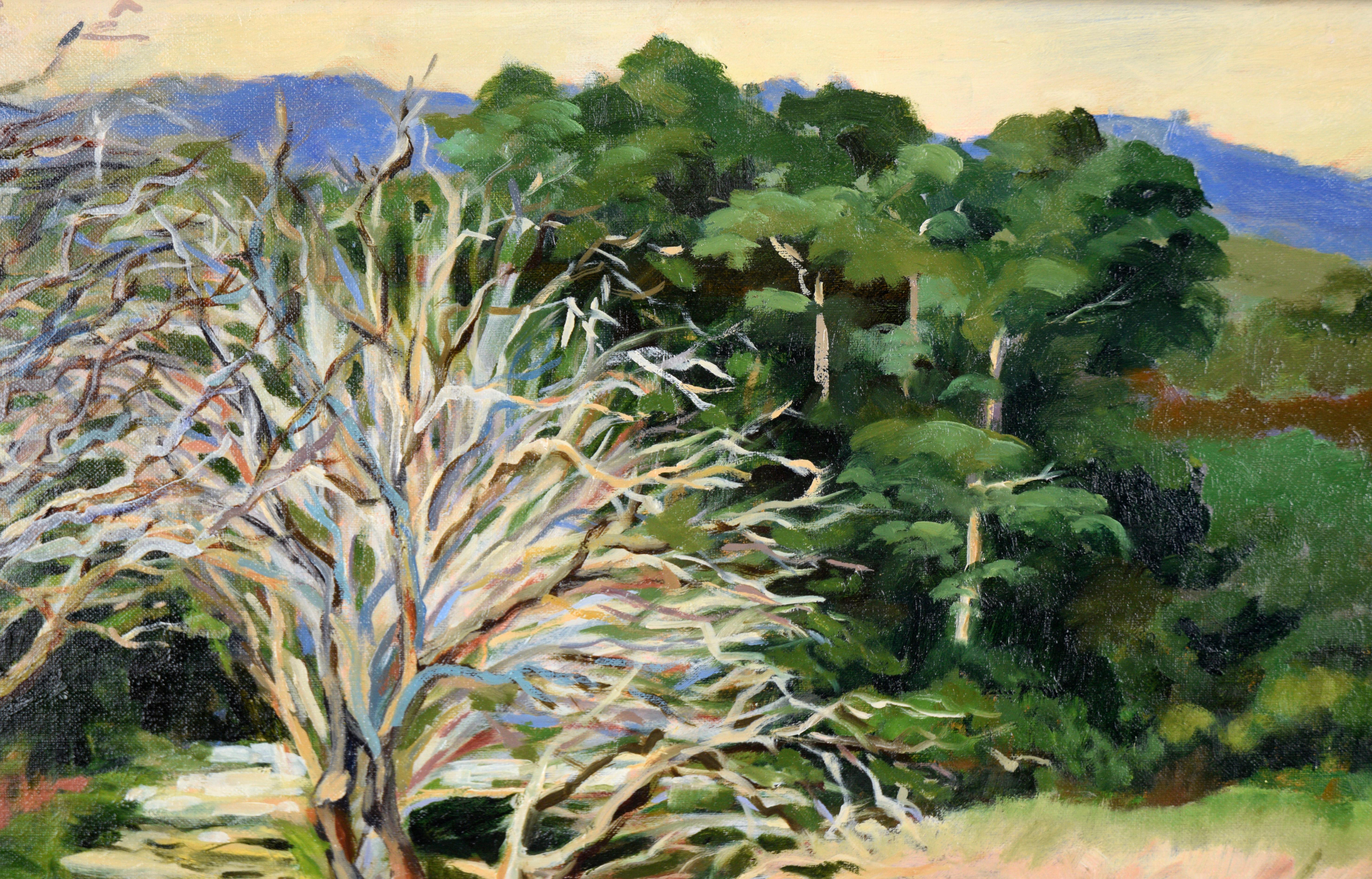 Sentiero ombreggiato sulle colline della California - Olio originale su tela (steso su tavola) - Landscape Painting Beige di Nancy Faisant