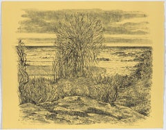 Winter Water