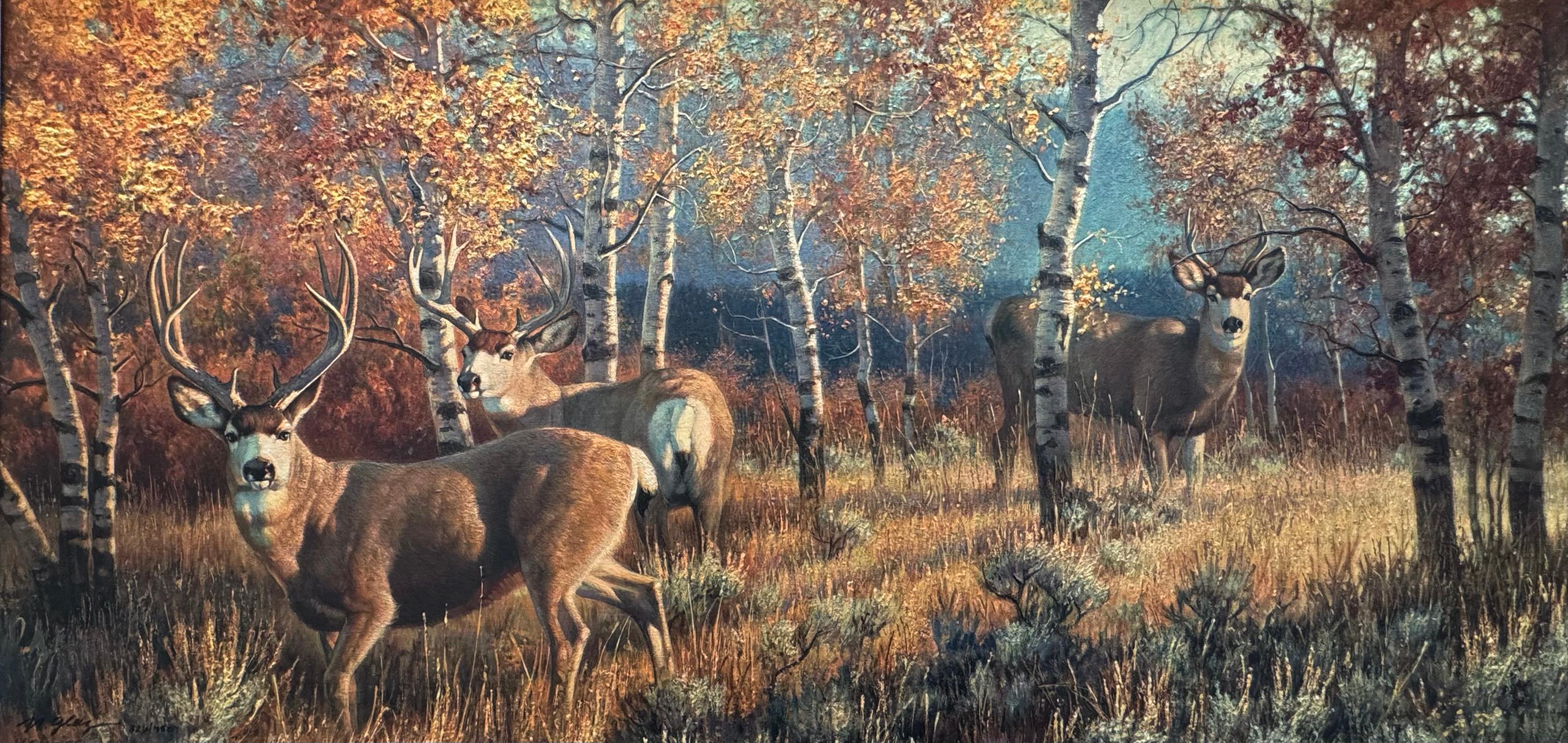 Morgengold, ein traditionelles Gemälde mit Hirschen in einer schönen Landschaft (Naturalismus), Print, von Nancy Glazier