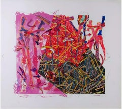 Calibrate, acquaforte/acquatinta/incisione/litografia a 16 colori, firmata 12/30, incorniciata
