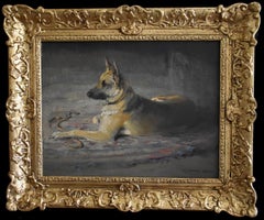 Un Alsatien attend une promenade