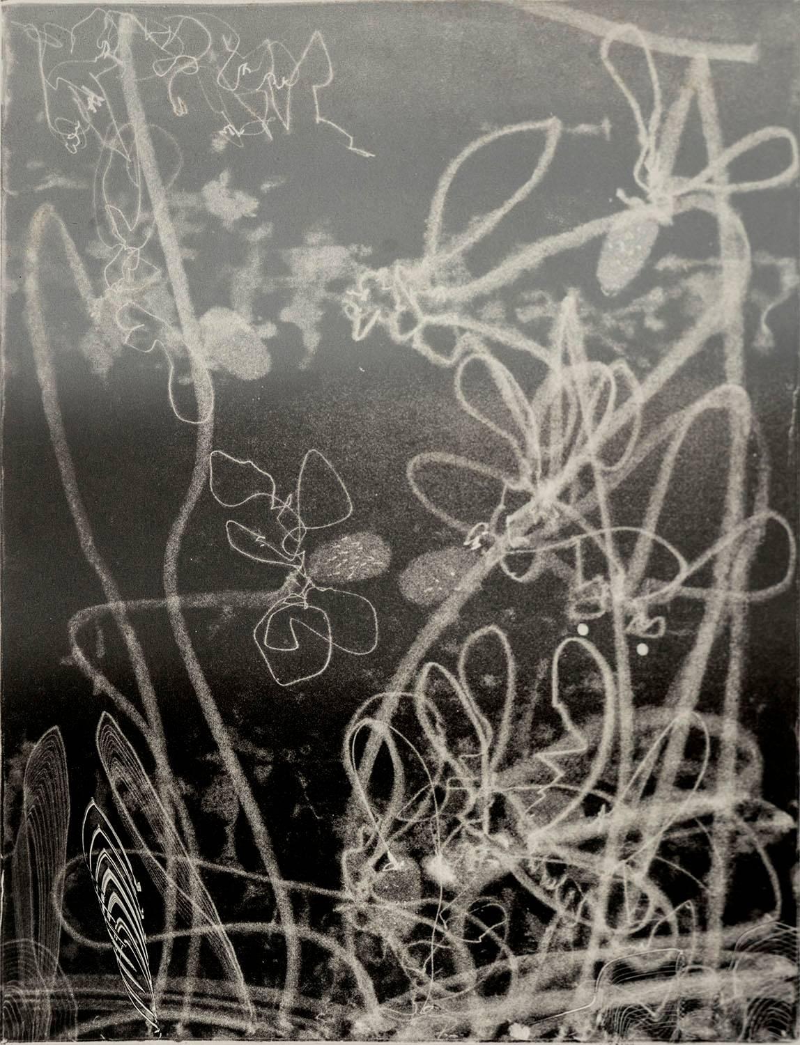Nancy Lasar Landscape Print - "With The Silvery Moon #2",  abstract landscape monoprint, black, silver gray.