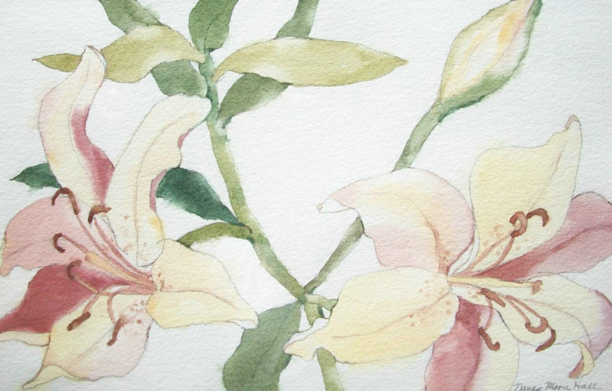 NANCY MOORE HALL - Vintage botanische Aquarellmalerei über Graphit auf Aquarellpapier - signiert mit Bleistift unten rechts - vintage matte Platte - lackierter Massivholzrahmen - Kanada - circa 1980er Jahre.

Guter Vintage-Zustand - Stockflecken an