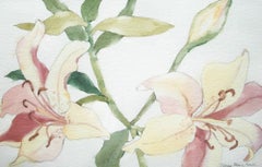 NANCY MOORE HALL - Botanical Watercolor Painting over Graphite - Circa 1980's