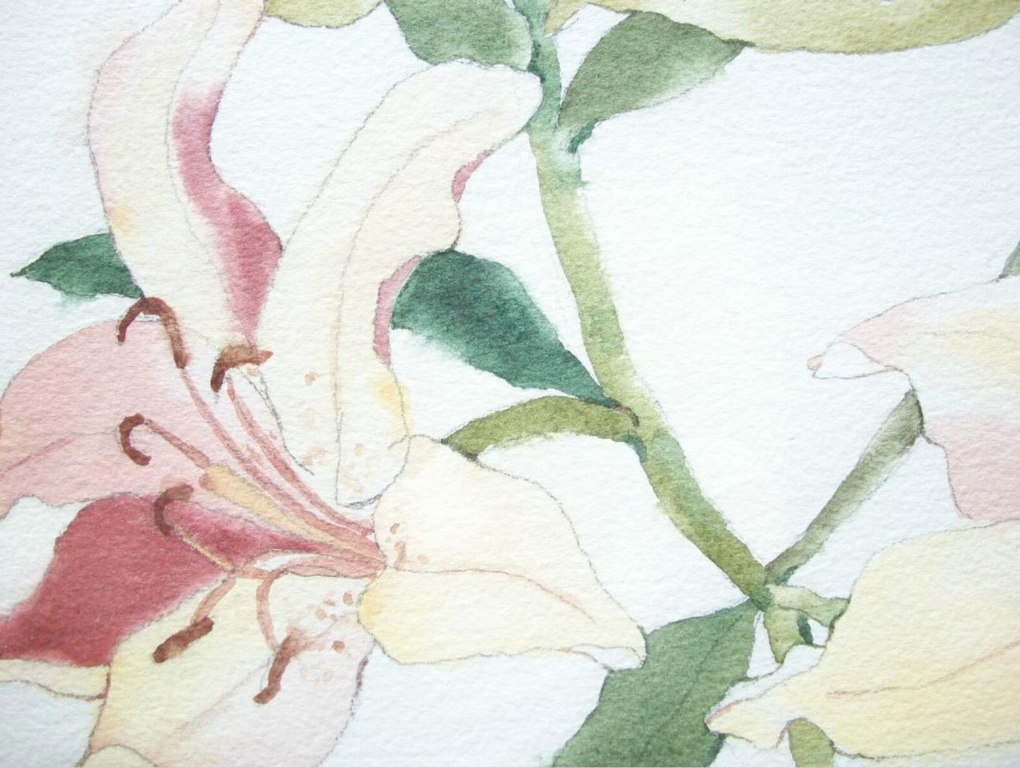 NANCY MOORE HALL – botanisches Aquarellgemälde über Graphit – ca. 1980er Jahre im Zustand „Gut“ im Angebot in Chatham, ON