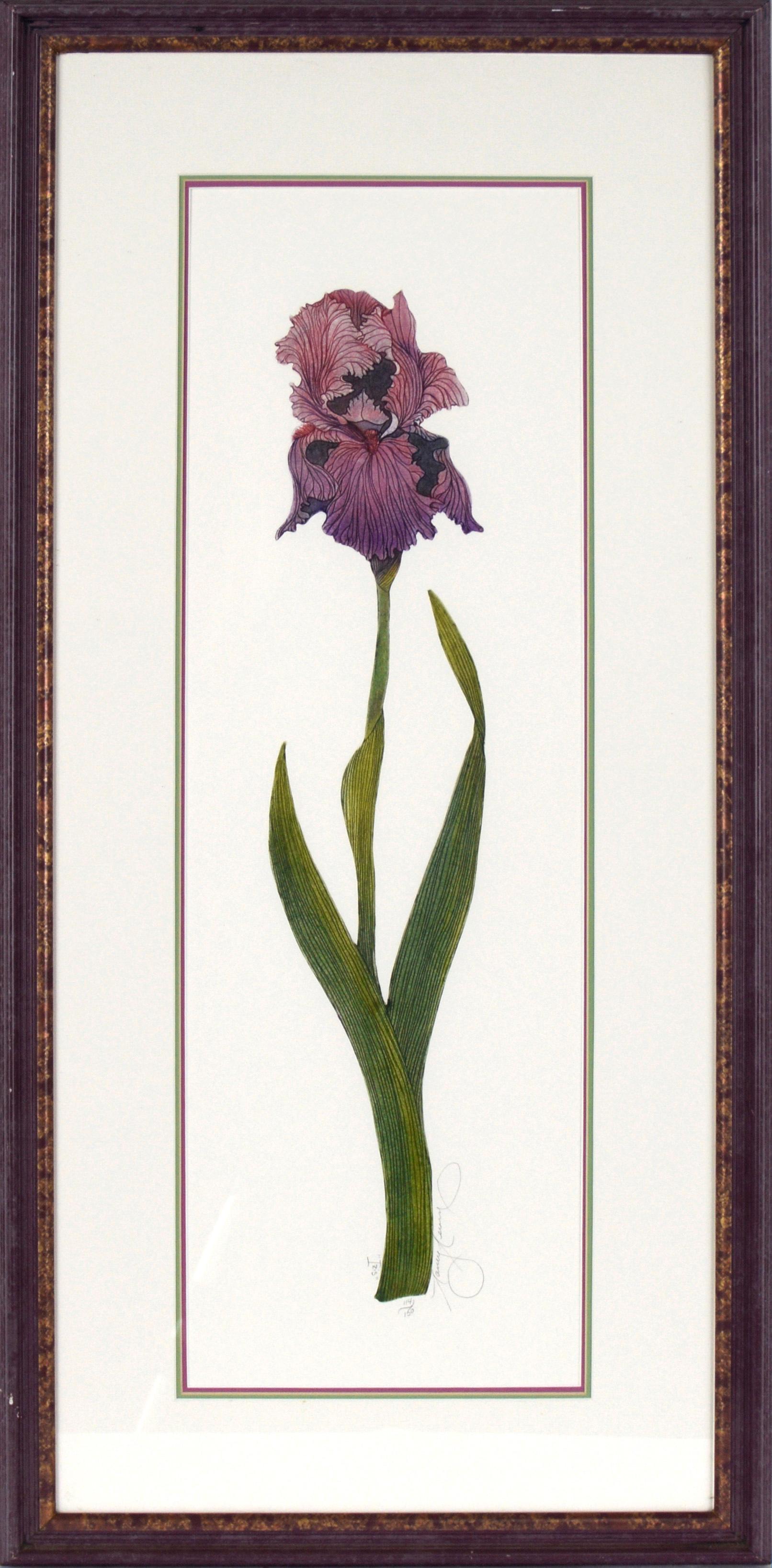Still-Life Print de Nancy Nevin - "Iris" Aguafuerte botánico sobre papel grueso