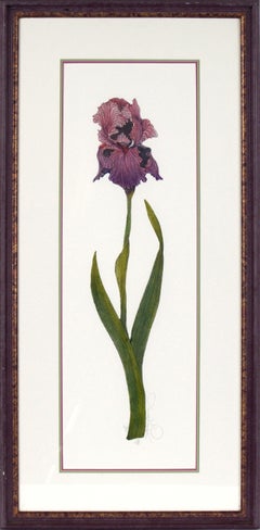 "Iris" Aguafuerte botánico sobre papel grueso