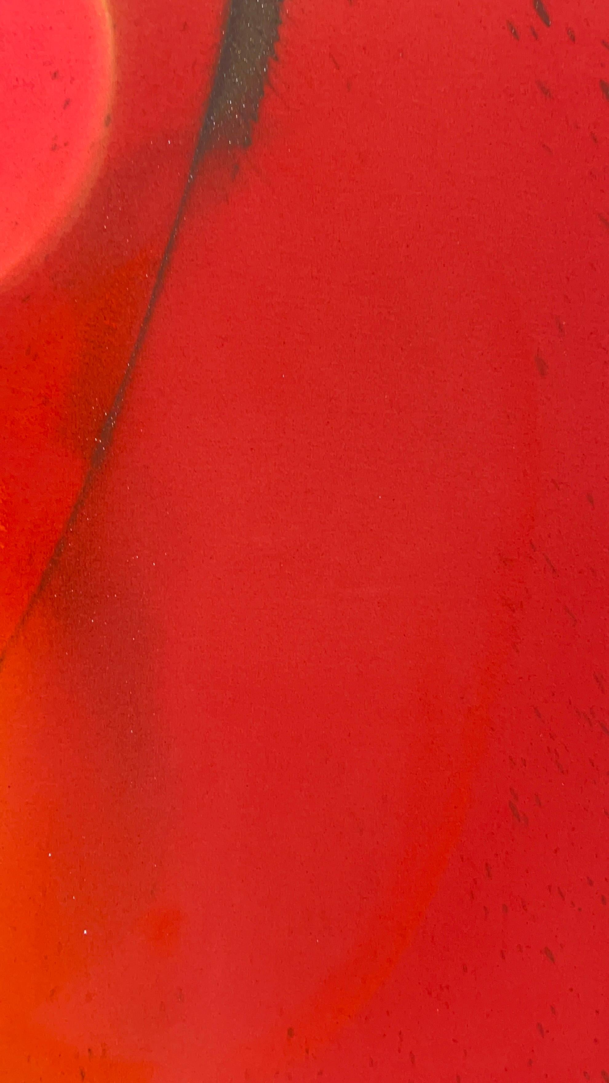 Rosa und Orange Bunte Abstrakte Zeitgenössische Landschaftsmalerei (Rot), Landscape Painting, von Nancy Pantirer