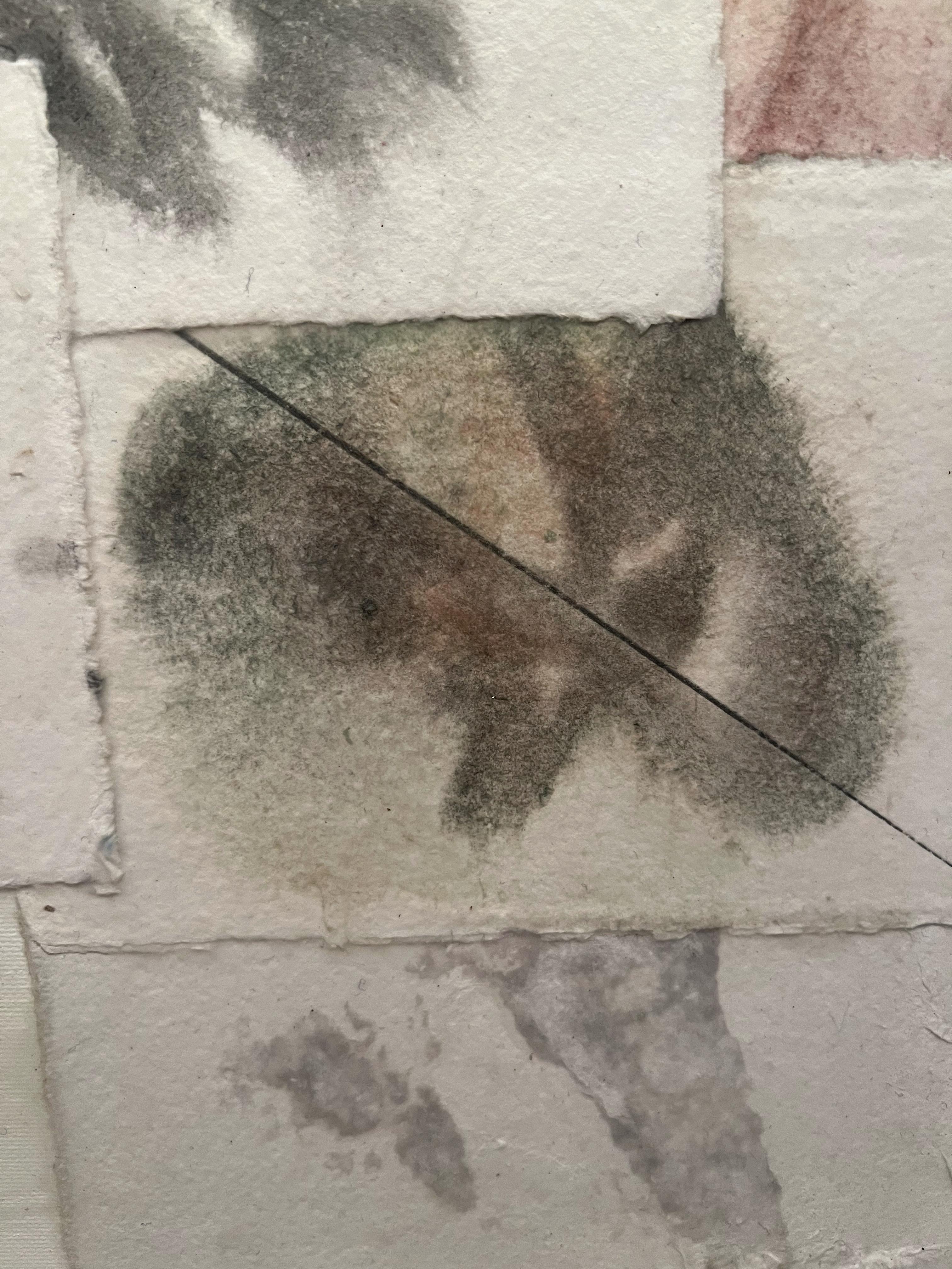 Indagine sulla pioggia 2 in vendita 1