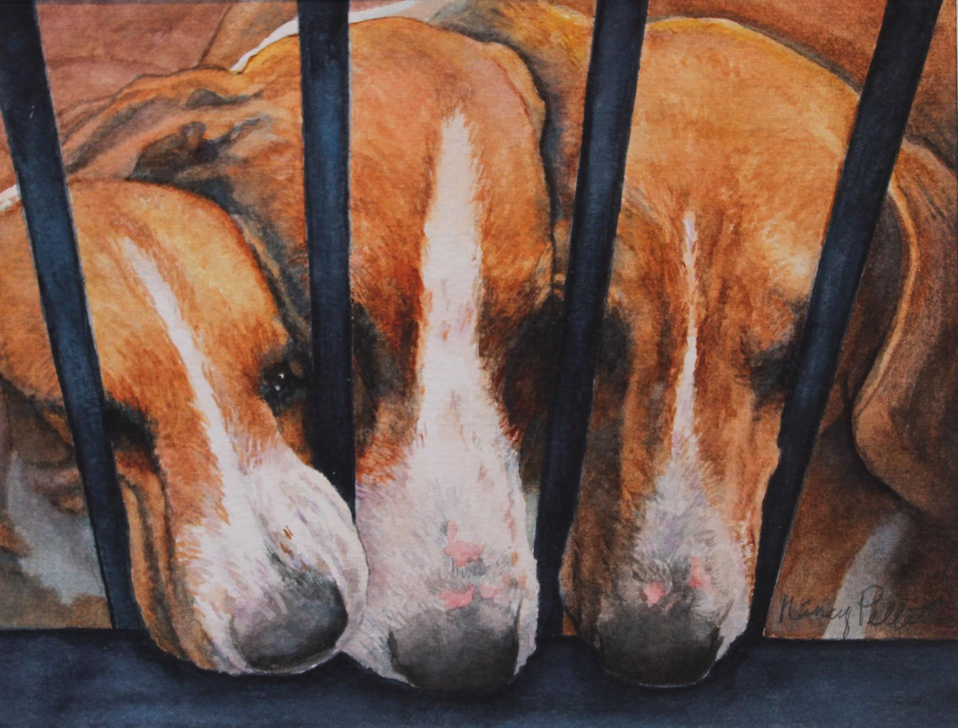 Detailed watercolor of 3 foxhound dogs curiously sniffing what is on other side