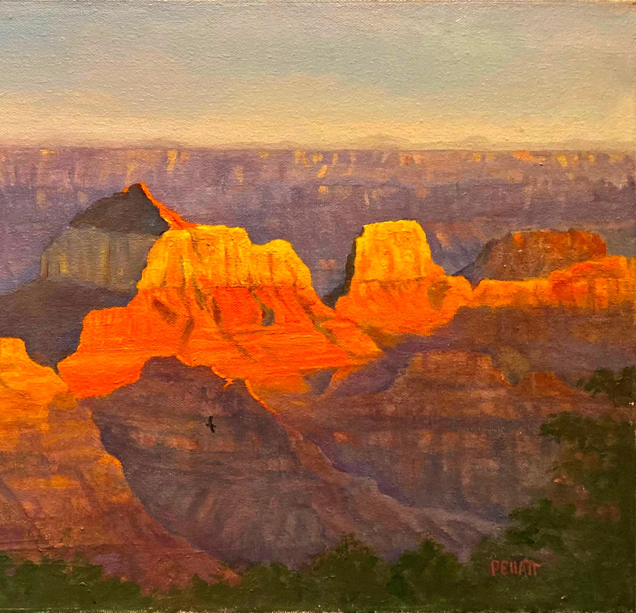 Dramatisches Sonnenuntergang im Brahma- Tempel im Grand Canyon (Braun), Landscape Painting, von Nancy Pellatt