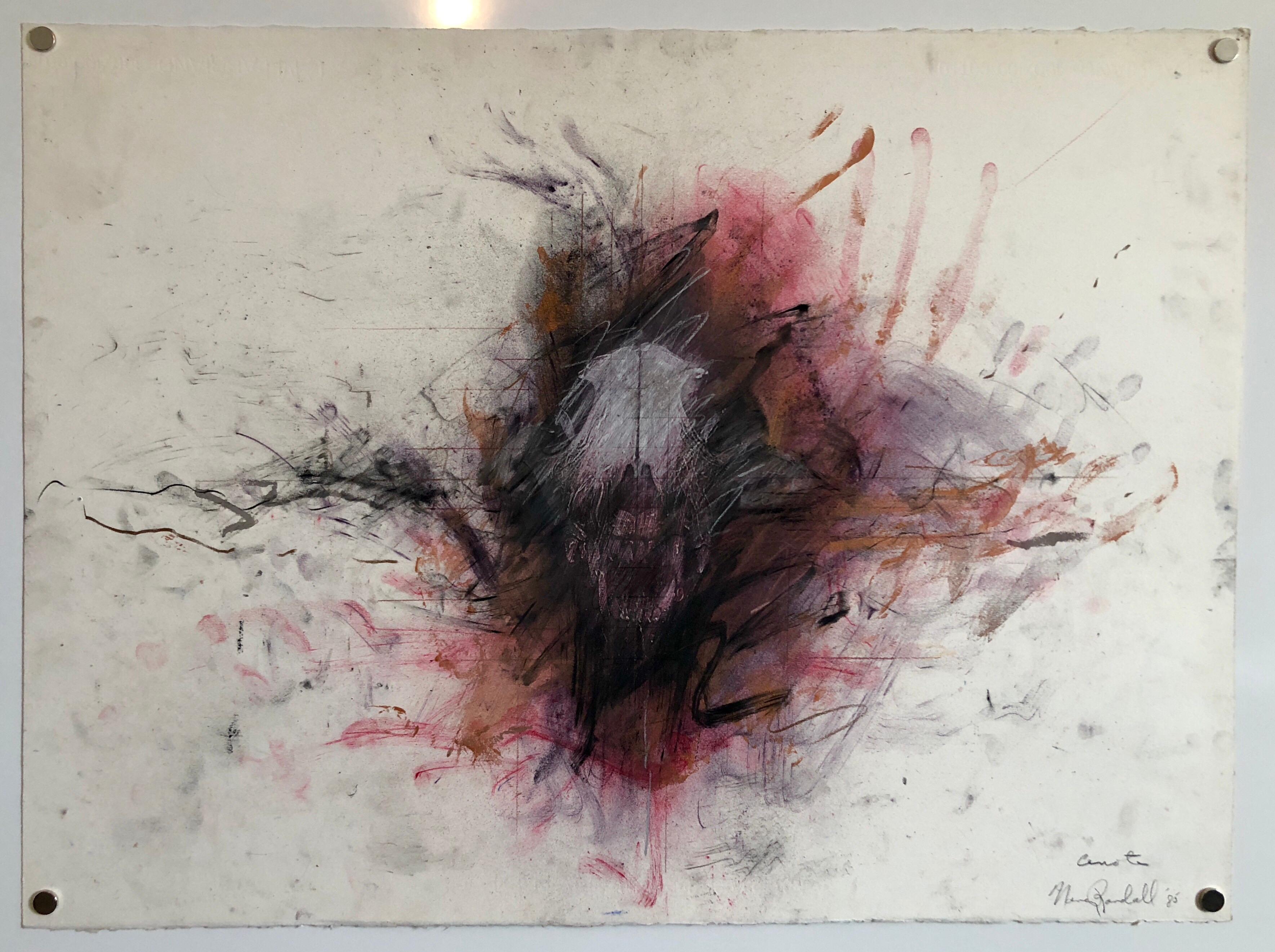 Connue pour ses peintures et sculptures ainsi que pour ses gravures. Les œuvres de Nancy Randall figurent dans les collections de la Smithsonian Institution, du Walker Art Center, du Nelson Atkins Museum et du Weisman Art Museum. Lauréat du prix Lee