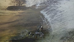 Dream Catcher I- White, black and gold 48 X 48