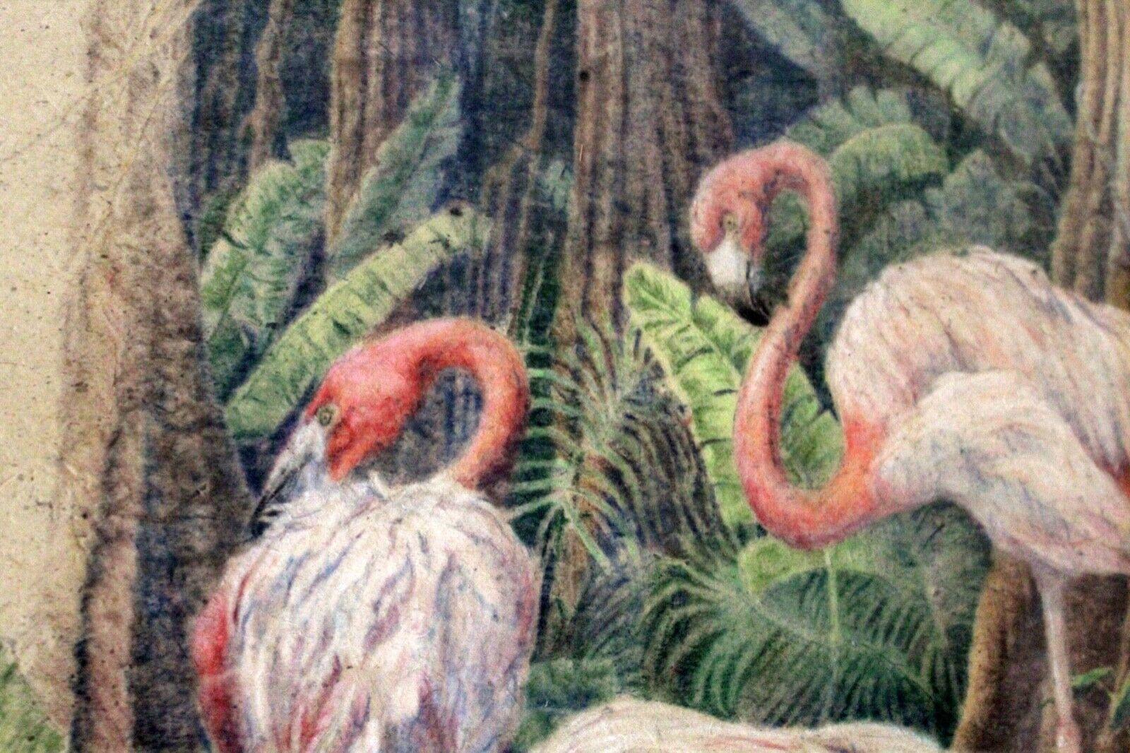 Three flamingos stopping for a drink of water, drawn in with precision by artist Nancy Strailey. Nancy pays special attention to the surroundings and detail. The artist draws with colored pencils on a piece of parchment paper hand picked by the
