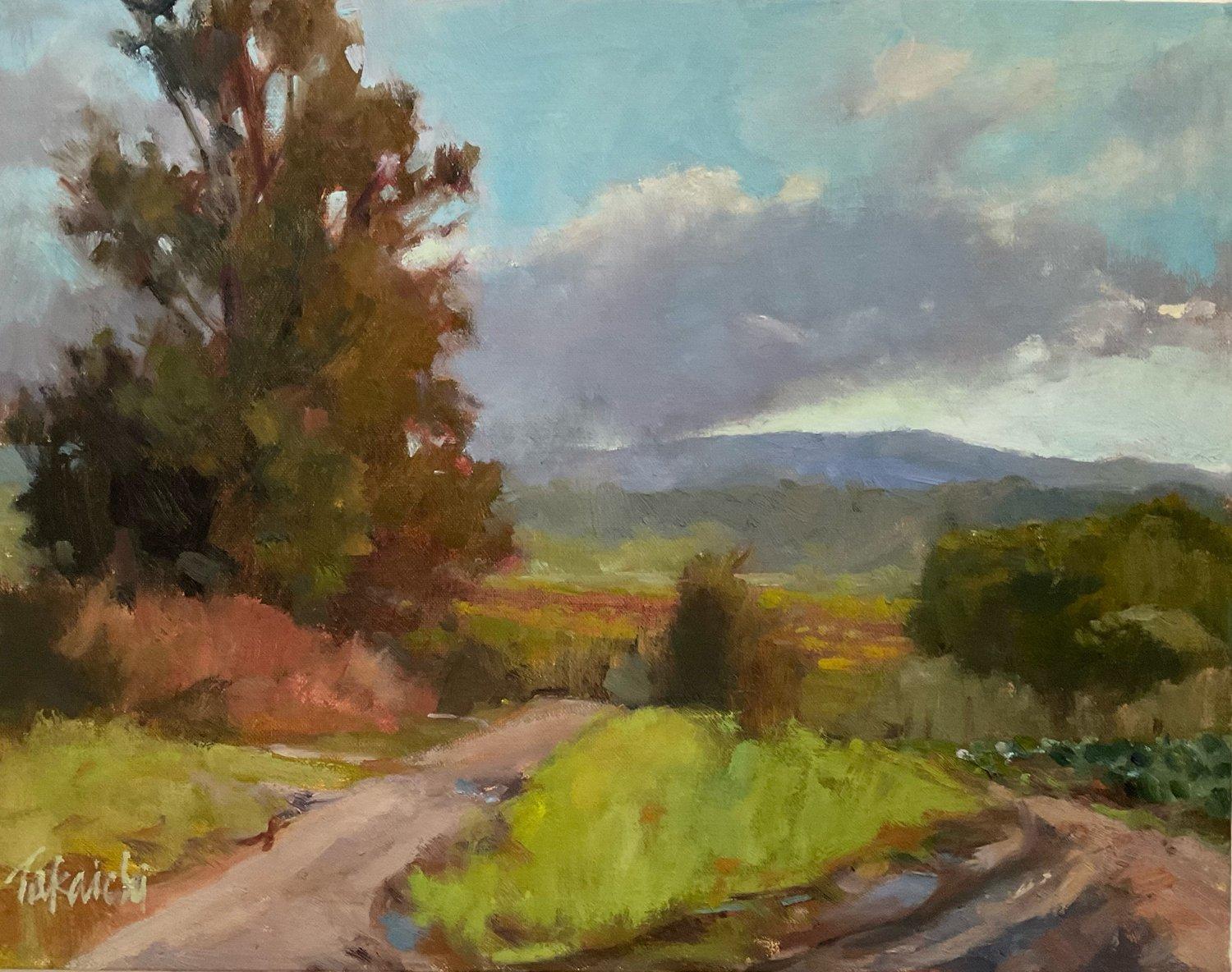 Nancy Takaichi Landscape Painting - "Spring on Strawberry Hill" Plein air oil painting of trail in Watsonville, CA