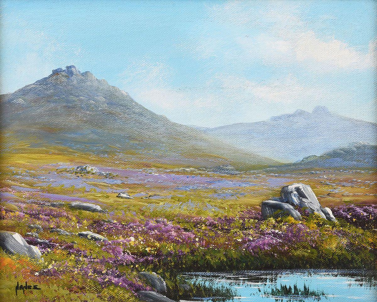 Mountain Lake with Heather in Mournes Northern Ireland by Contemporary Artist - Painting by Nanee