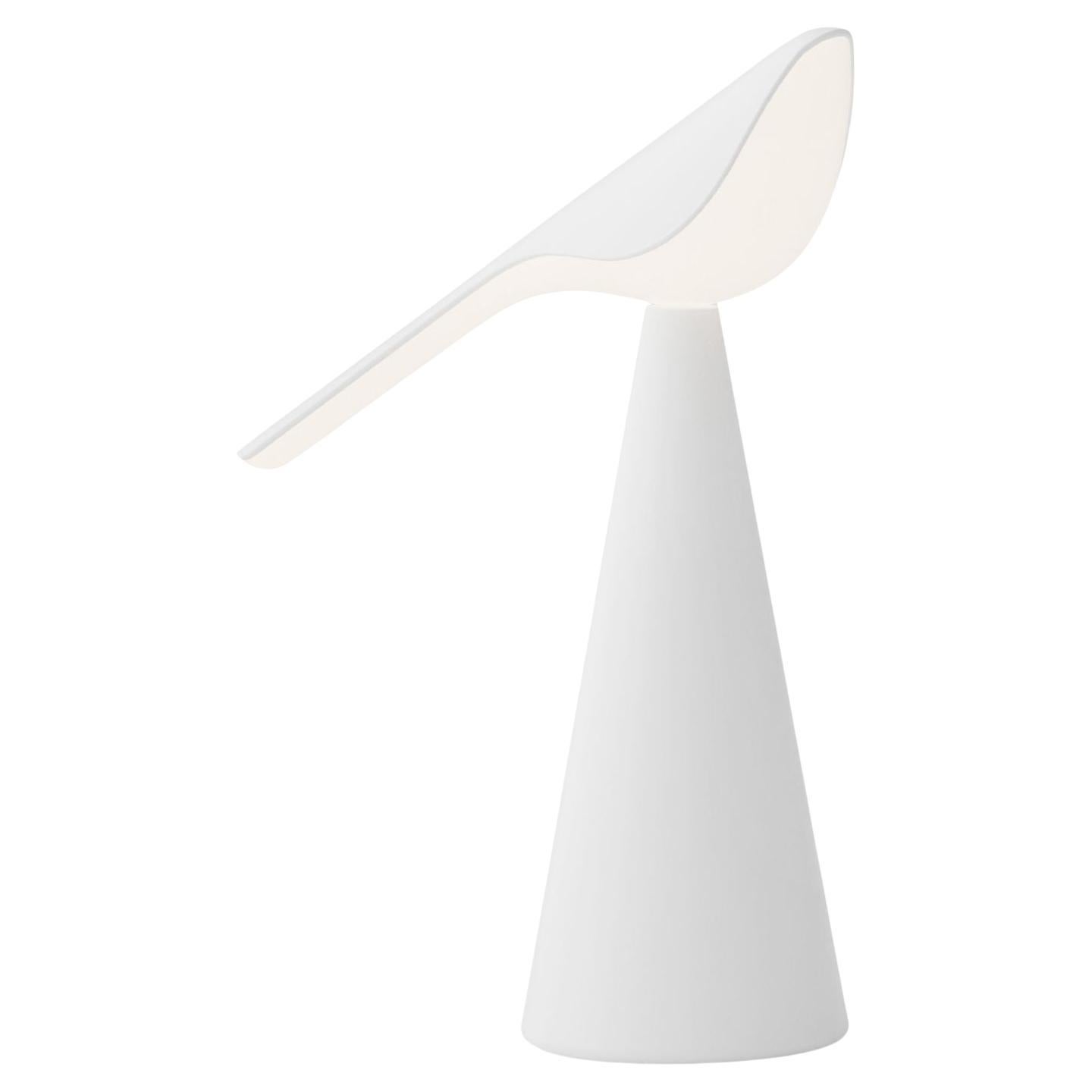 New And Custom Table Lamps