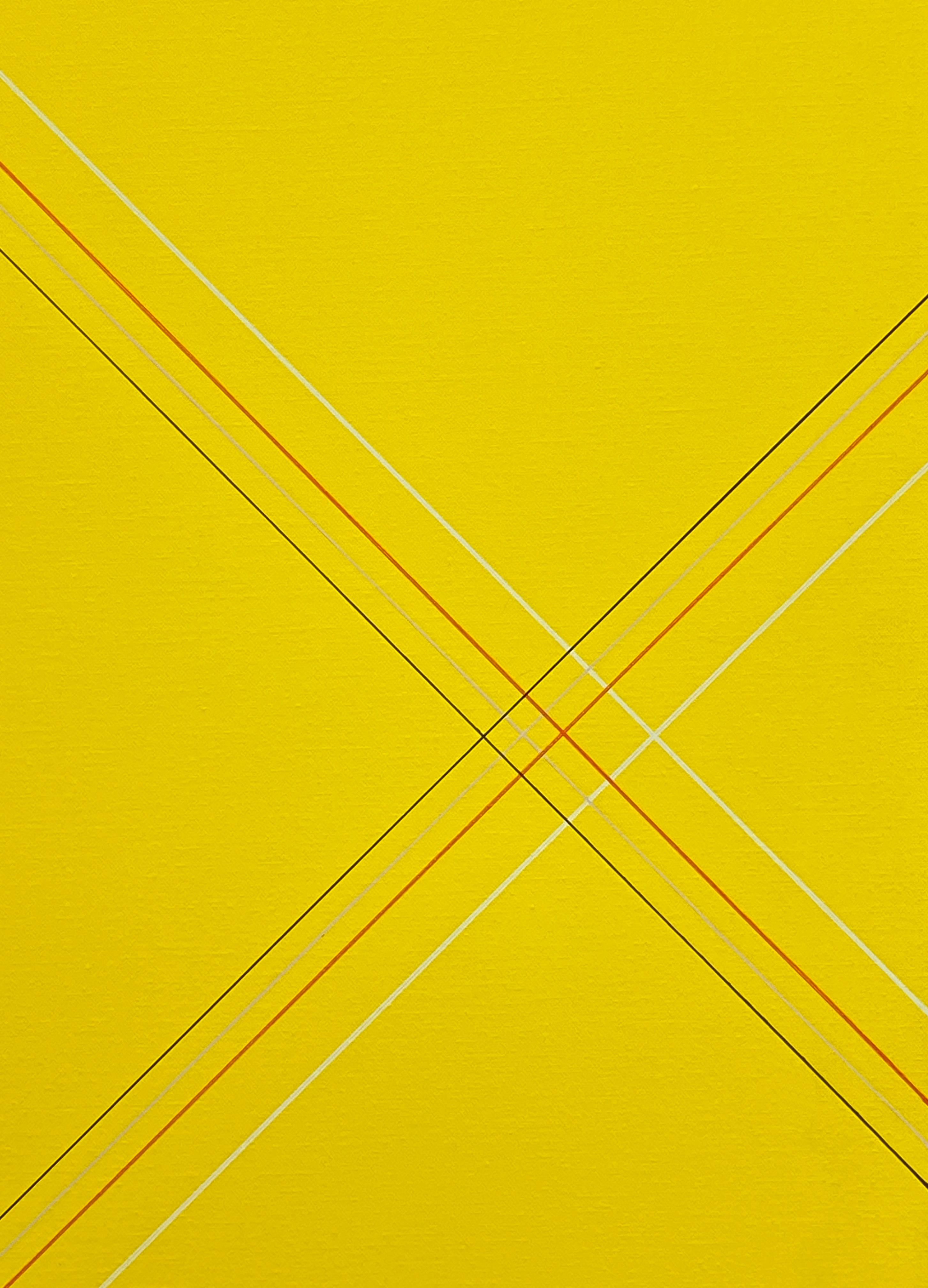 
Yellow Diamond de Naohiko Inukai témoigne de l'approche raffinée et classique de l'artiste en matière de peinture. La beauté de cette œuvre réside dans les lignes de lavande claire, de rouge, de blanc et de noir qui se détachent de la page,