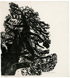 'Pine' also 'Into the Sky' —from 'Solitude' for Henry David Thoreau's 'Walden'