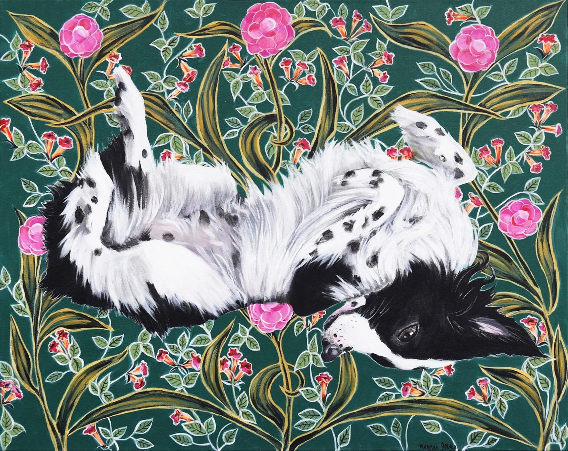 far side border collie