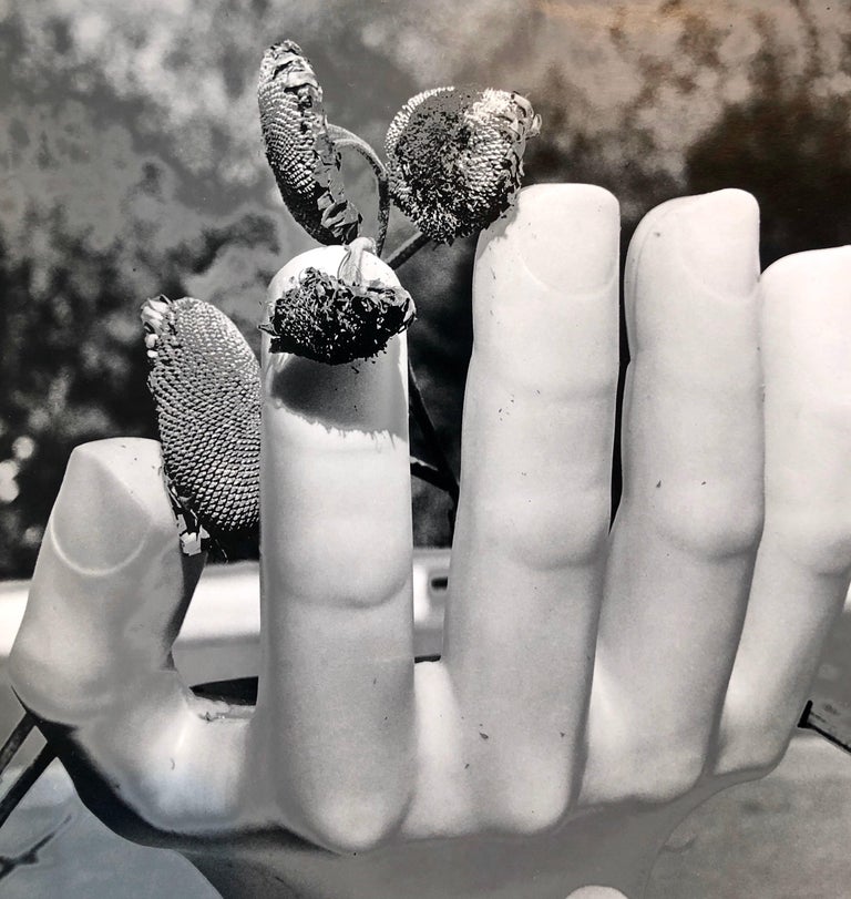 This depicts a chair in the manner of Mexican surrealist modernist Pedro Friedeberg with a dried flowers. 
It is a hand signed, titled and dated vintage silver gelatin print photograph. and bears the artists studio stamp verso. 

Naomi Siegler
