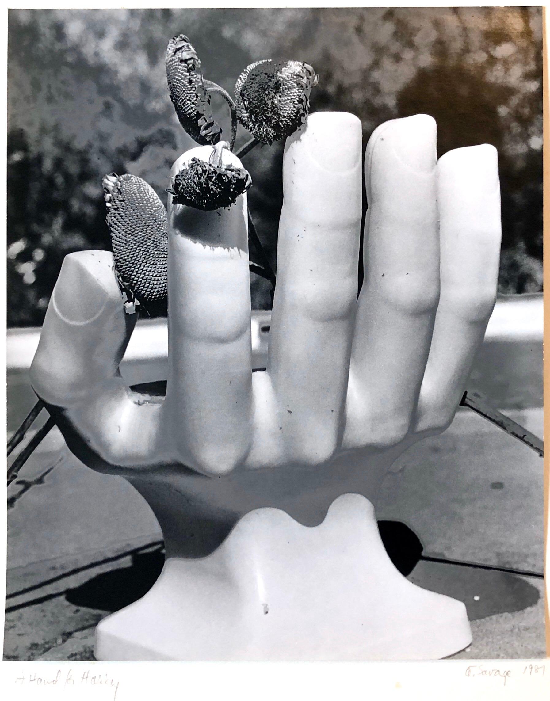 Celle-ci représente une chaise à la manière du moderniste surréaliste mexicain Pedro Friedeberg avec une fleur séchée. 
Il s'agit d'une photographie vintage à la gélatine argentée, signée, titrée et datée, qui porte au verso le cachet de l'atelier