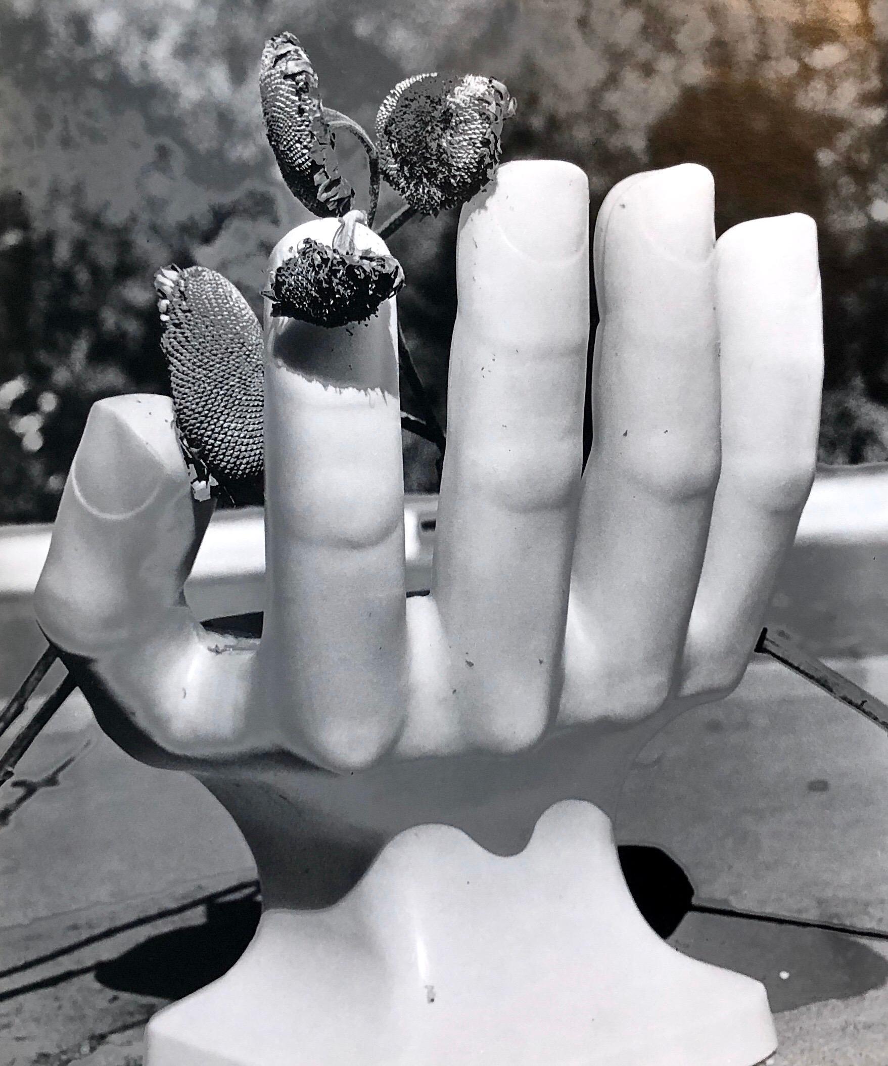 Naomi Savage Still-Life Photograph - Photo Of Pedro Friedeberg Hand Chair Vintage Silver Gelatin Photograph