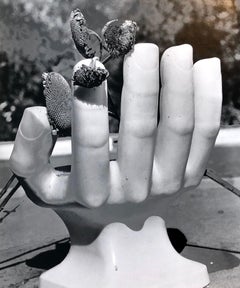 Photo Of Pedro Friedeberg Hand Chair Antique Silver Gelatin Photograph